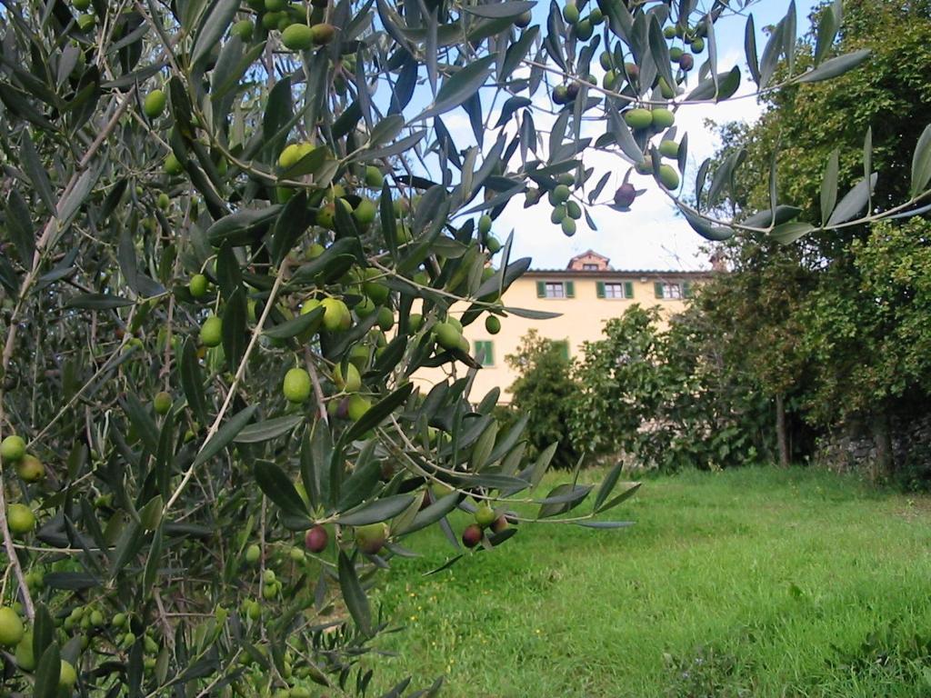 سانسيبولكرو Hotel Relais Palazzo Di Luglio المظهر الخارجي الصورة